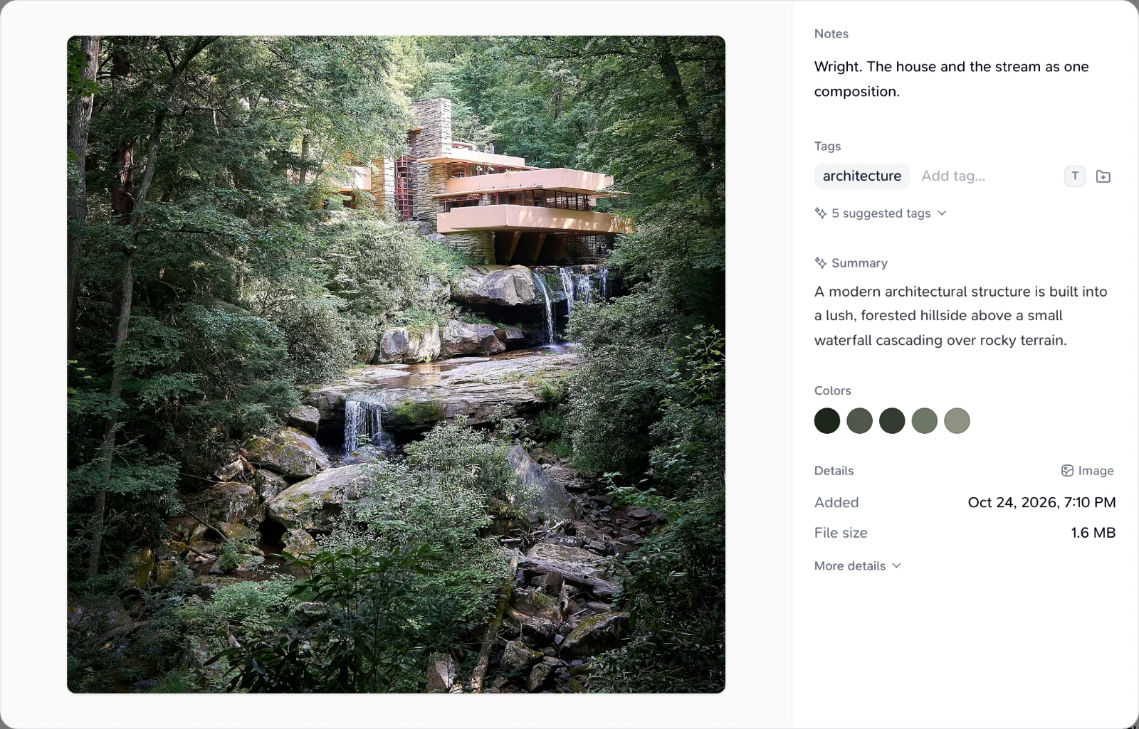 Teak image card with its notes, tags, AI summary and extracted colors